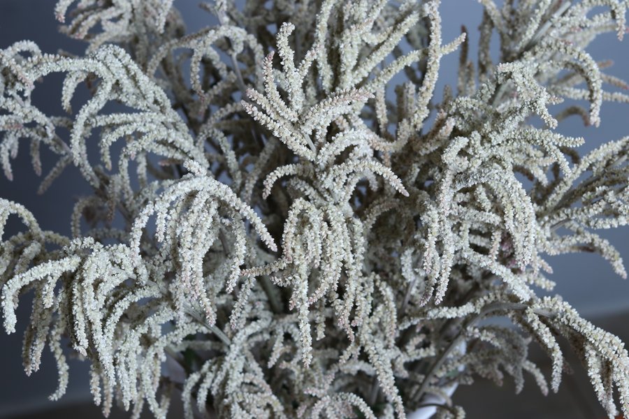 Silver-White